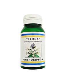 Orthosiphon TITREX®