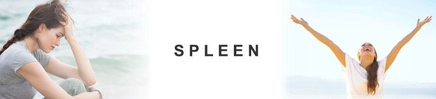 Spleen et déprime, oméga 3, Ginseng et huile essentielle